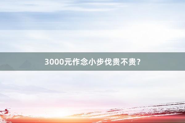 3000元作念小步伐贵不贵?